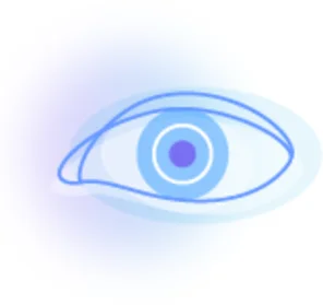 Eyes and visual analyzer